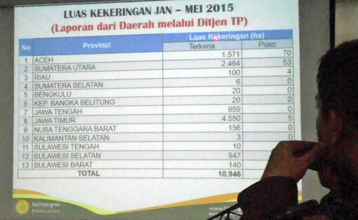 Lahan Rawa Solusi Capai Swasembada Pangan